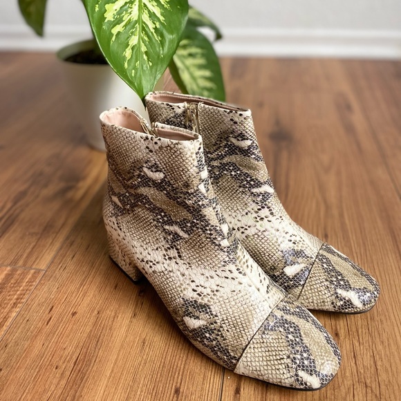 Zara Trafaluc Snake Print Ankle Boots - Picture 4 of 7